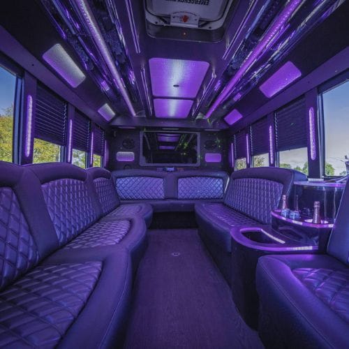 purple-birthday-party-coach